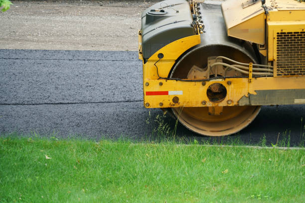 Best Residential Paver Driveway  in Holley, FL
